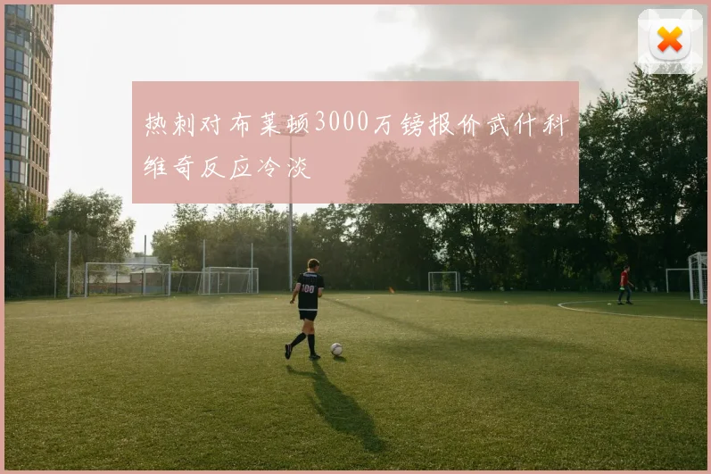 热刺对布莱顿3000万镑报价武什科维奇反应冷淡