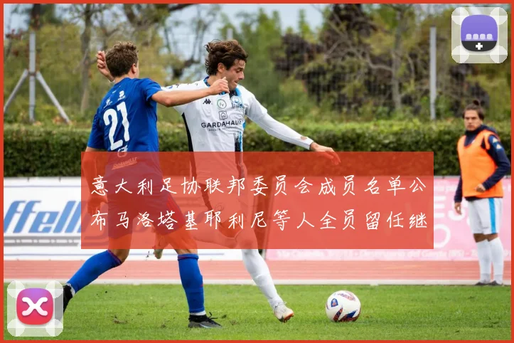 意大利足协联邦委员会成员名单公布马洛塔基耶利尼等人全员留任继续服务